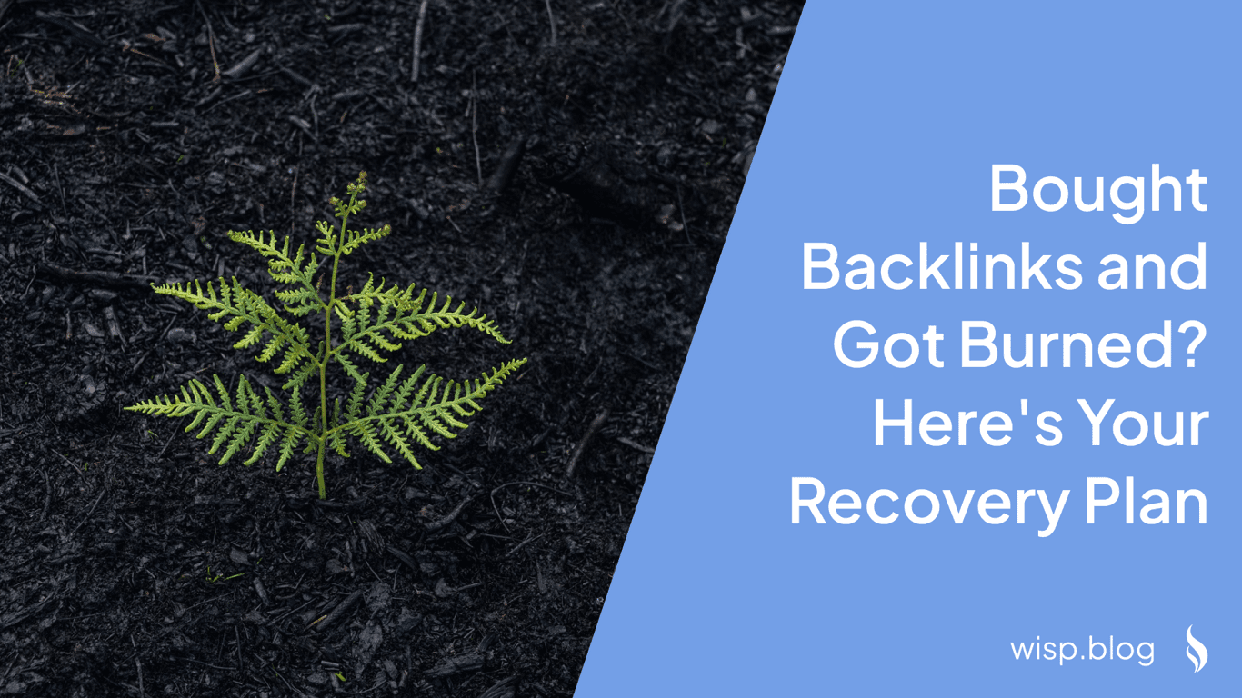 Bought Backlinks and Got Burned? Here's Your Recovery Plan